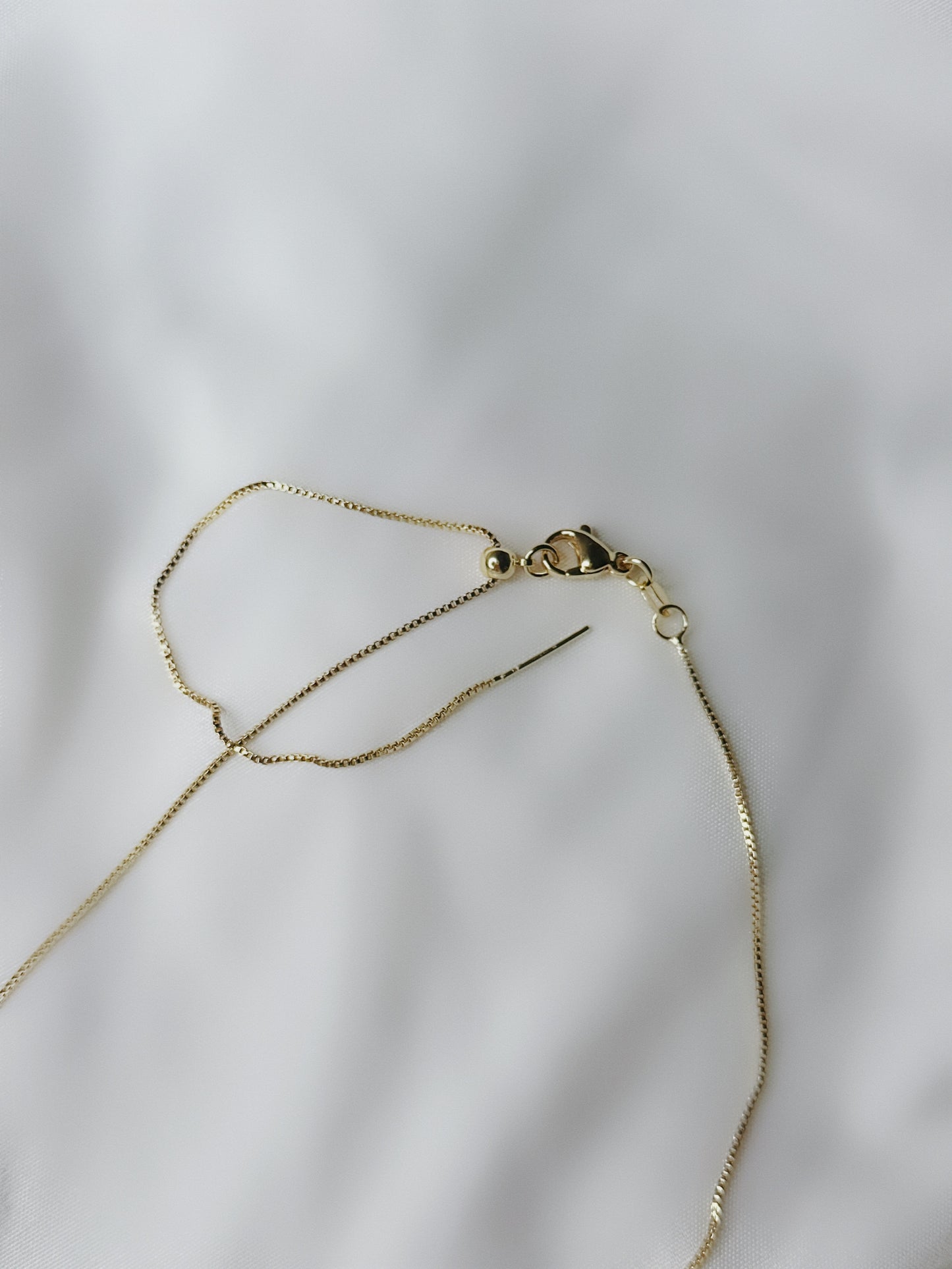 Golden Scapular